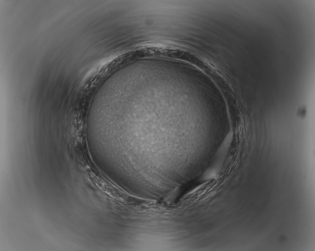 X0000115800822200911271248