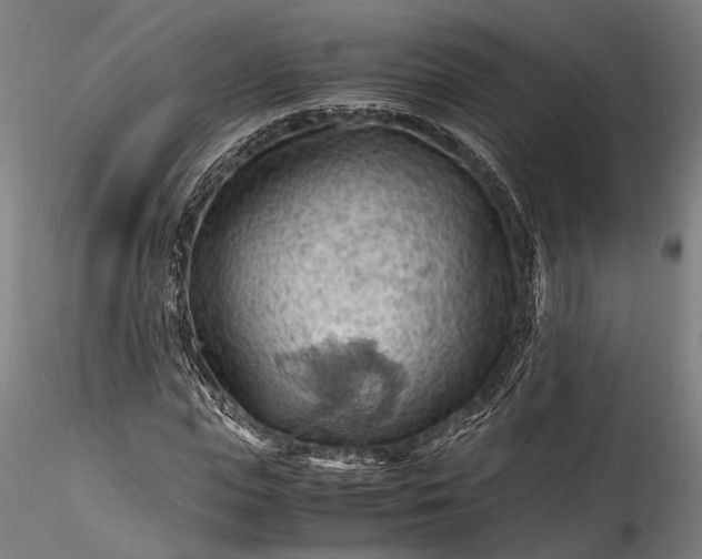 X0000115800823200911271248