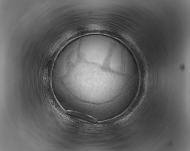 X0000115800825200911271248