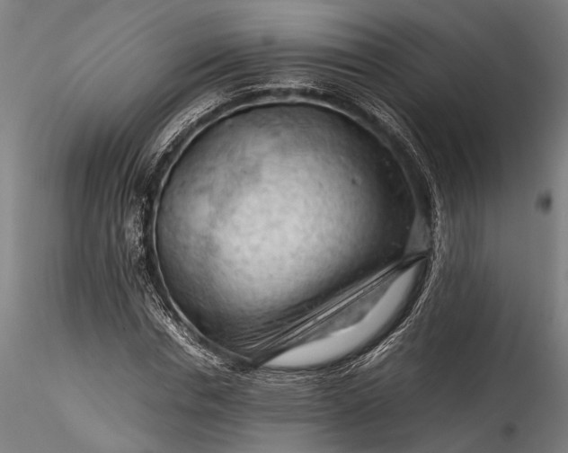 X0000115800826200911271248
