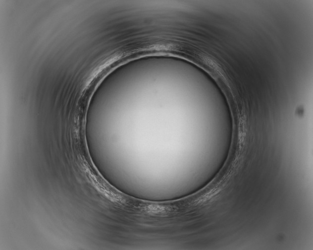 X0000115800827200911271248