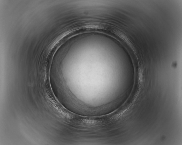 X0000115800829200911271248