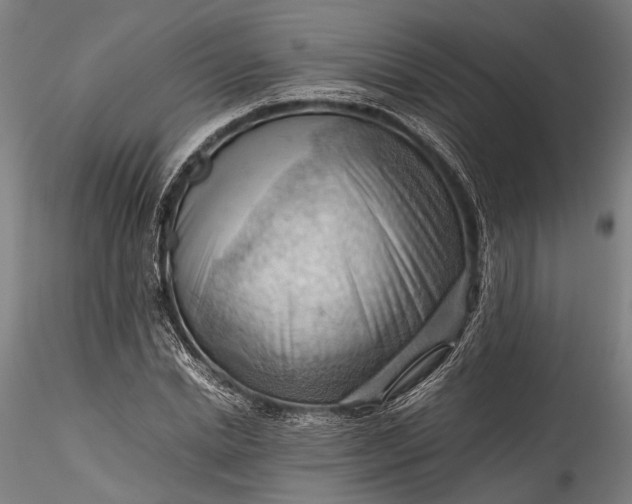X0000115800830200911271248