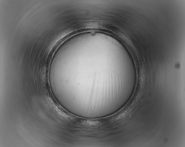 X0000115800831200911271248