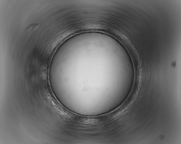 X0000115800833200911271248