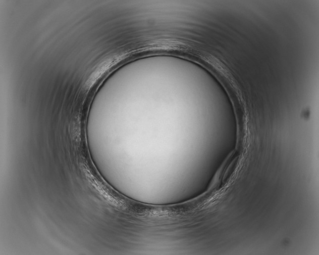 X0000115800834200911271248