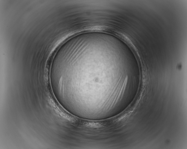 X0000115800835200911271248
