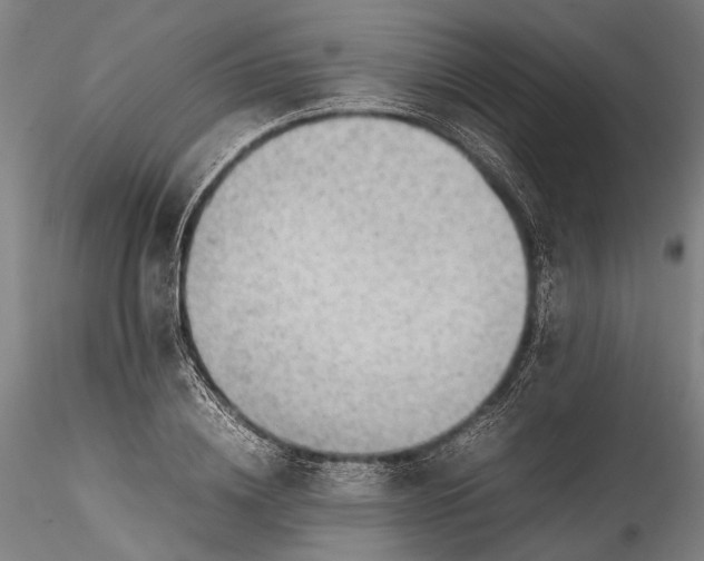 X0000115800836200911271248