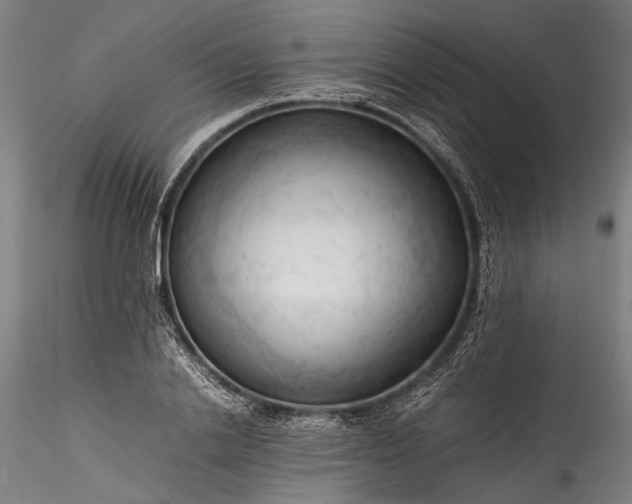 X0000115800838200911271248