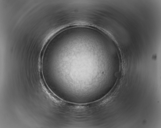 X0000115800839200911271248