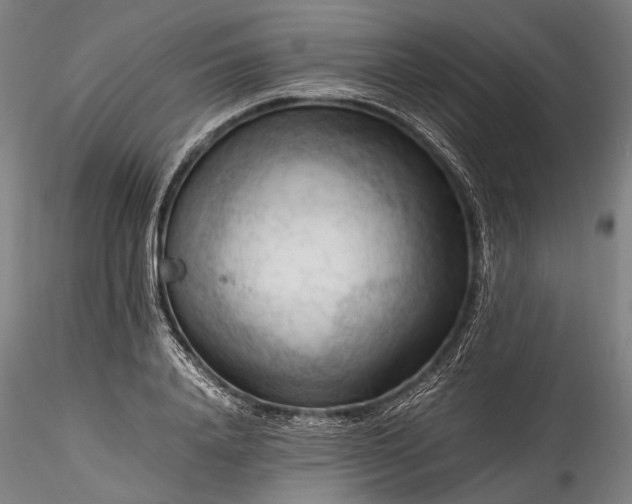 X0000115800840200911271248