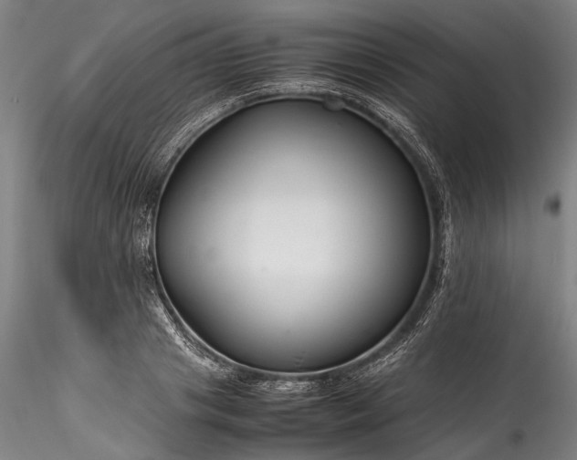 X0000115800841200911271248