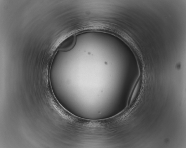 X0000115800842200911271248