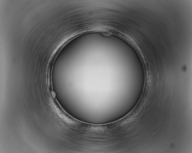 X0000115800843200911271248