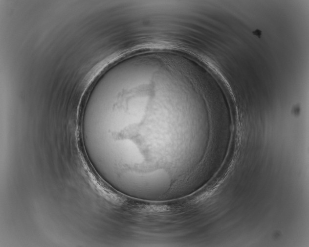 X0000115800845200911271248