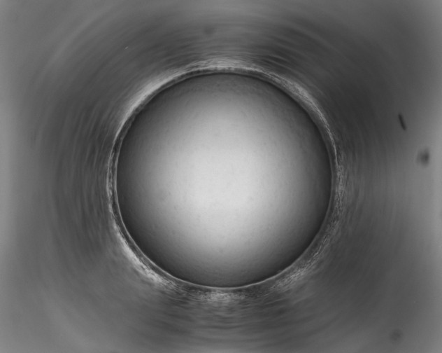 X0000115800847200911271248