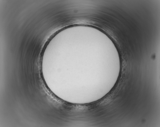 X0000115800848200911271248