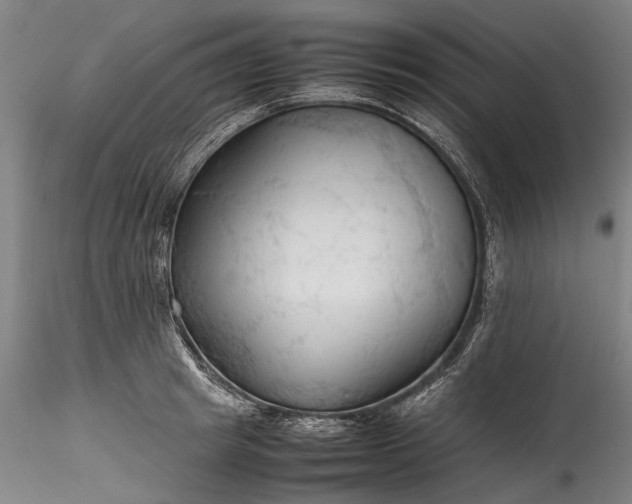X0000115800849200911271249