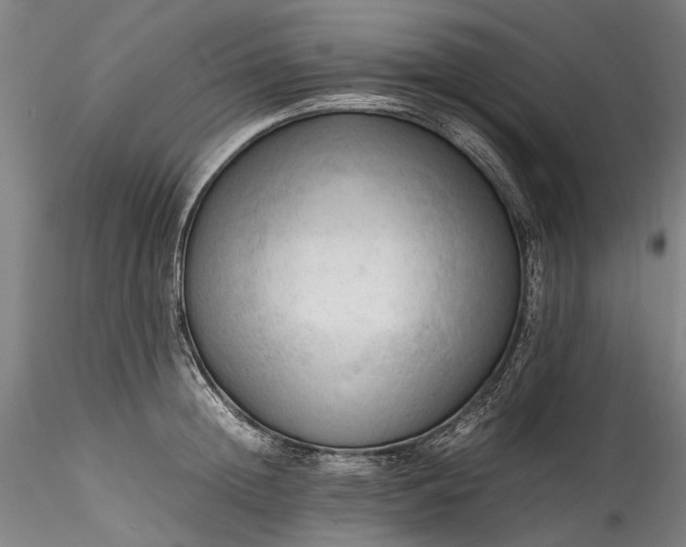 X0000115800852200911271249