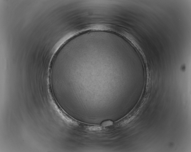 X0000115800853200911271249