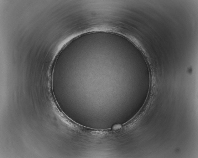 X0000115800854200911271249