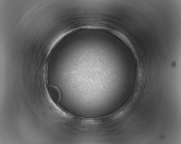 X0000115800855200911271249