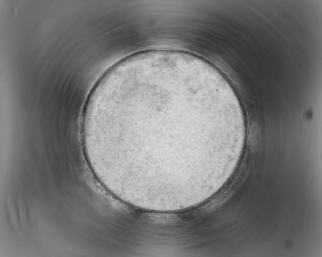 X0000115800856200911271249