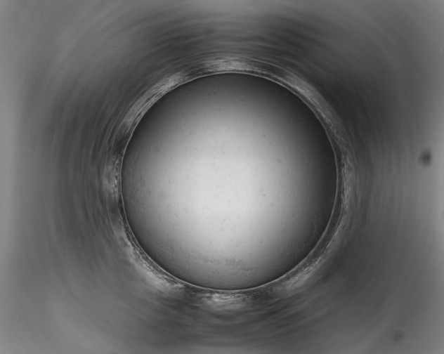 X0000115800857200911271249