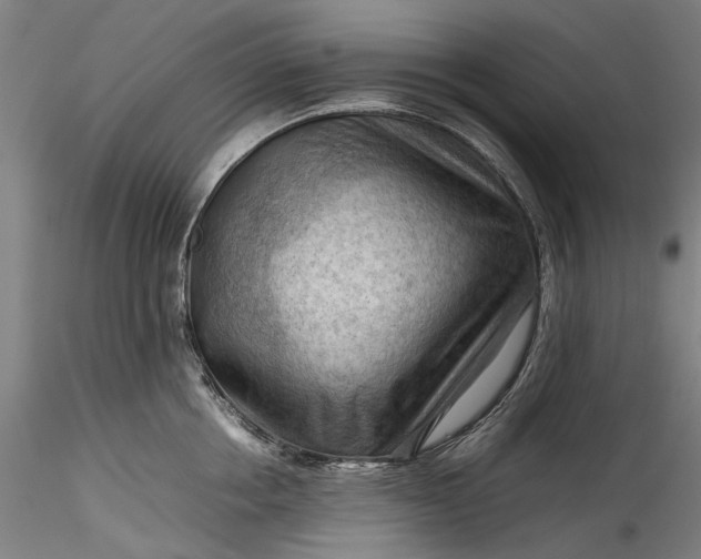 X0000115800858200911271249