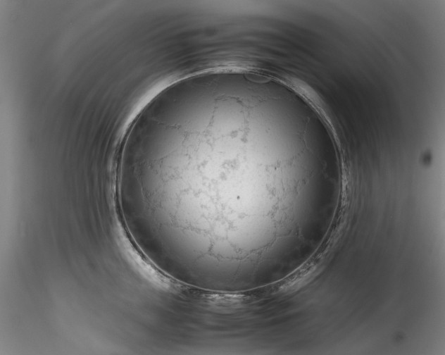 X0000115800859200911271249
