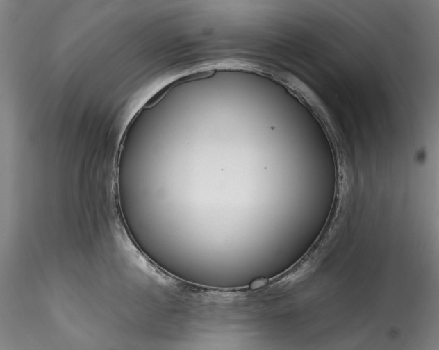 X0000115800860200911271249