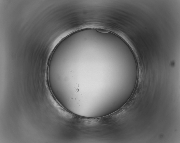 X0000115800861200911271249