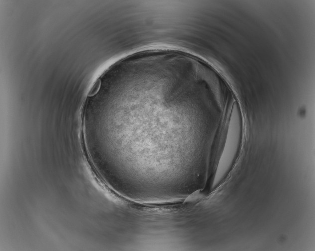 X0000115800862200911271249