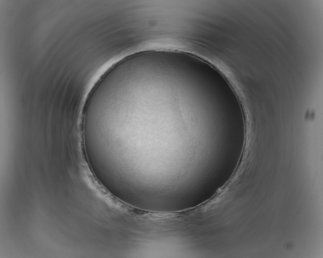 X0000115800864200911271249