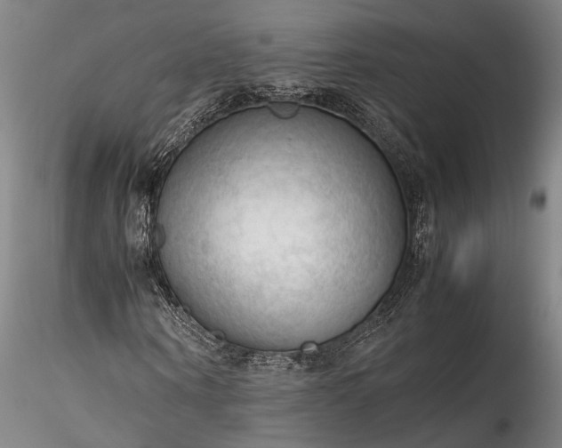 X0000115800866200911271248