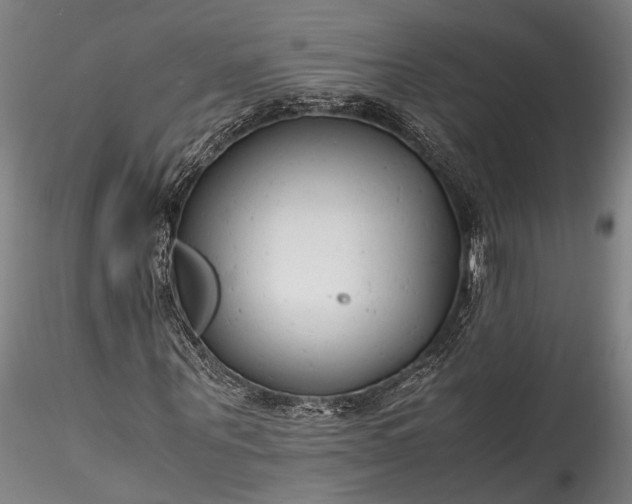 X0000115800867200911271248