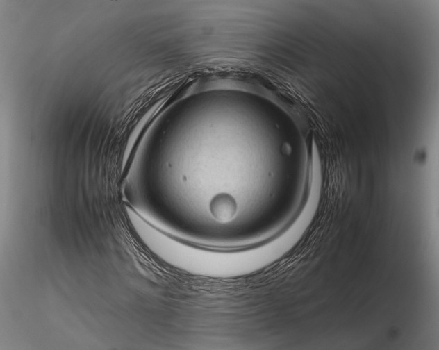 X0000115800868200911271248