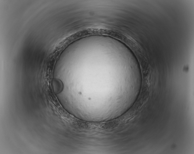 X0000115800870200911271248