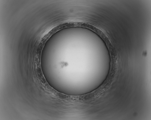 X0000115800871200911271248