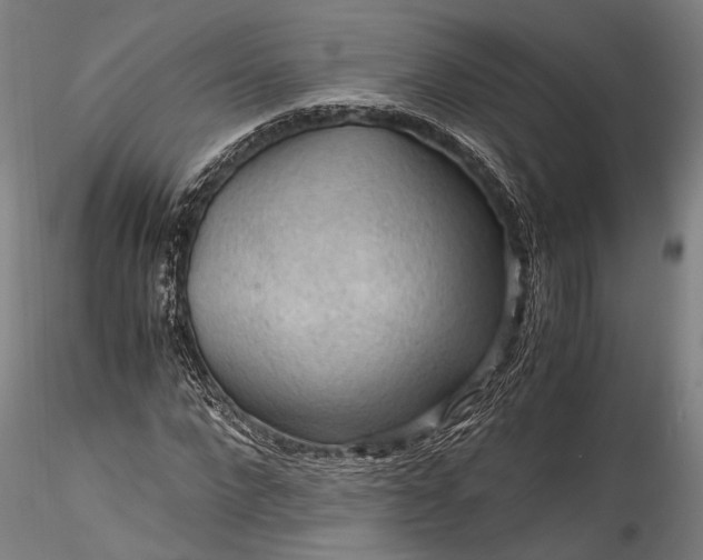 X0000115800872200911271248