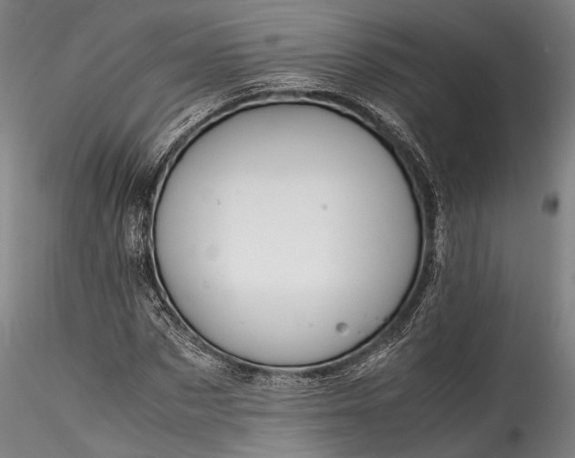 X0000115800873200911271248