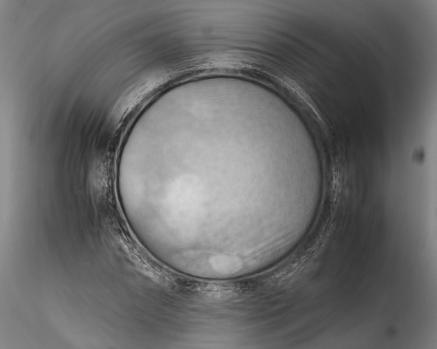 X0000115800874200911271248
