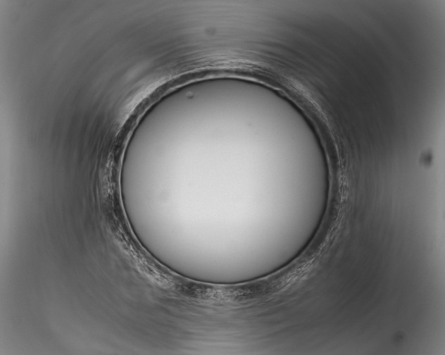 X0000115800875200911271248