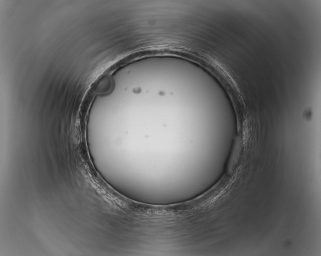 X0000115800876200911271248