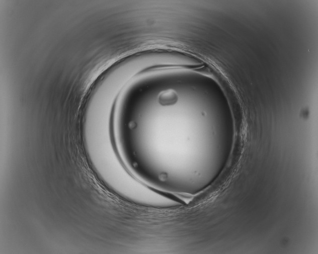 X0000115800877200911271248