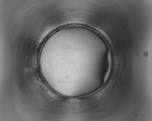 X0000115800878200911271248