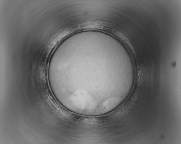X0000115800882200911271248