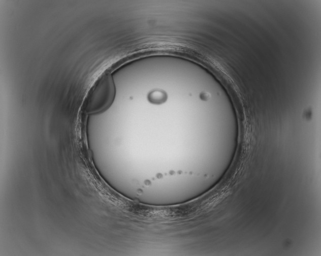 X0000115800883200911271248