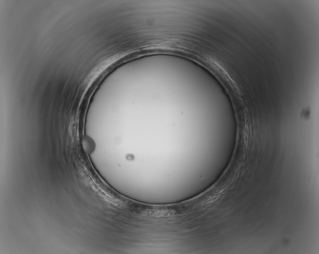 X0000115800884200911271248