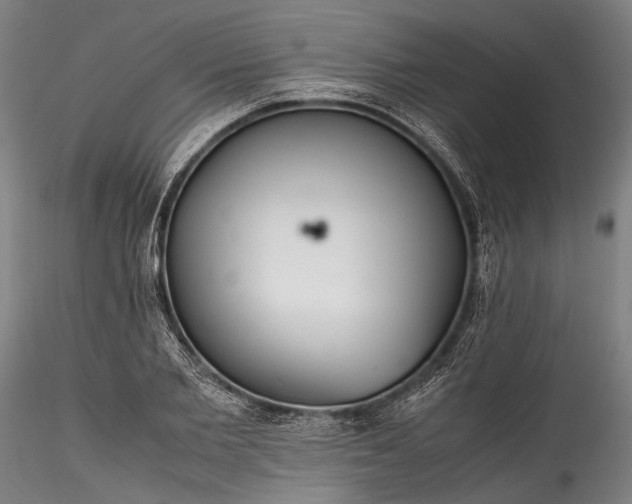 X0000115800885200911271248